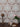 Snow Pea Wallpaper - Rosewater