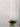 Wallflowers Wallpaper - Miranda St. Claire