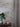 Waratah Wallpaper - Mrs DeWinter