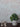 Waratah Wallpaper - Marshmallow